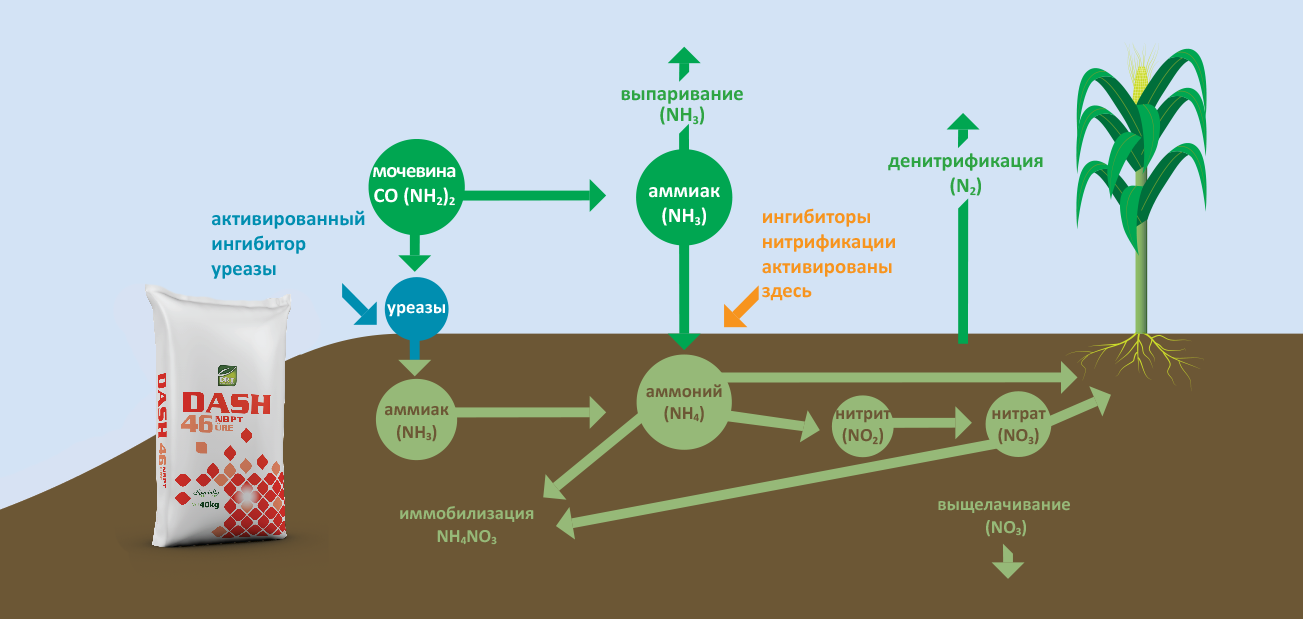 Схема удобрения азотные удобрения